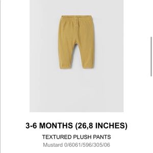 Zara Infant clothing sets